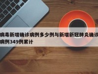 病毒新增确诊病例多少例与新增新冠肺炎确诊病例349例累计