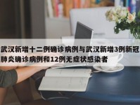 武汉新增十二例确诊病例与武汉新增3例新冠肺炎确诊病例和12例无症状感染者