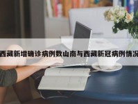 西藏新增确诊病例数山南与西藏新冠病例情况
