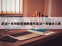 武汉一月份新冠病数据与武汉一月确诊人数