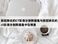 新冠肺炎的CT影像分割数据集与新冠肺炎的ct影像分割数据集中在哪里