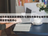 城市数据库新冠濮阳市与濮阳市数字化城市管理监督指挥中心