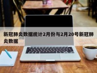 新冠肺炎数据统计2月份与2月20号新冠肺炎数据