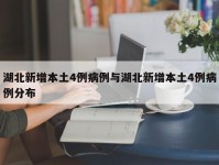 湖北新增本土4例病例与湖北新增本土4例病例分布