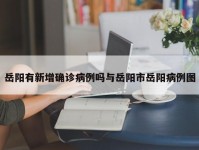 岳阳有新增确诊病例吗与岳阳市岳阳病例图