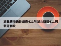 湖北新增确诊病例411与湖北新增411例新冠肺炎