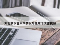 大北京下雪天气情况与北京下大雪视频