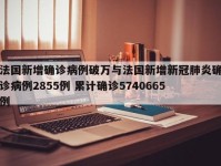 法国新增确诊病例破万与法国新增新冠肺炎确诊病例2855例 累计确诊5740665例