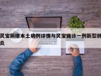 灵宝新增本土病例详情与灵宝确诊一例新型肺炎