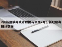 2月新冠病毒统计数据与中国2月份新冠病毒确诊数据