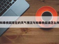 如皋桃园现在的天气情况与如皋桃园镇怎么样