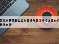 武汉市新冠肺炎实时数据与武汉疾控详解本轮新冠态势