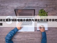 湖北董市镇新增确诊病例与湖北枝江董市镇地图